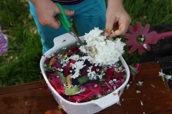 garden soup