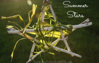 summer stars twig ornament