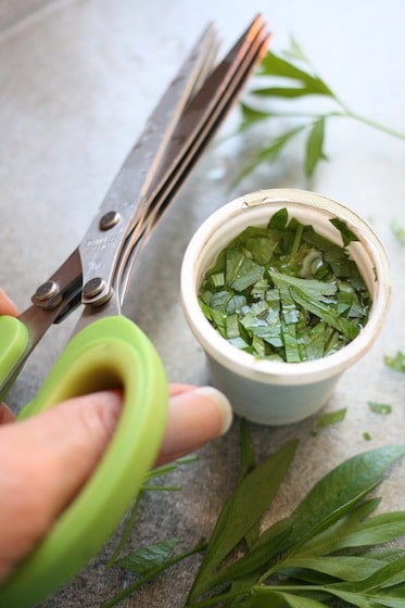 freeze fresh herbs in k cups