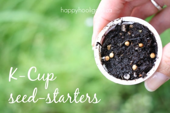 k-cup seed starters