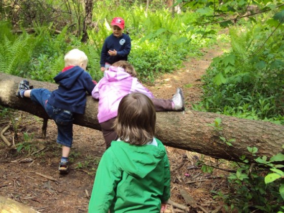 toddlers climbing over a log