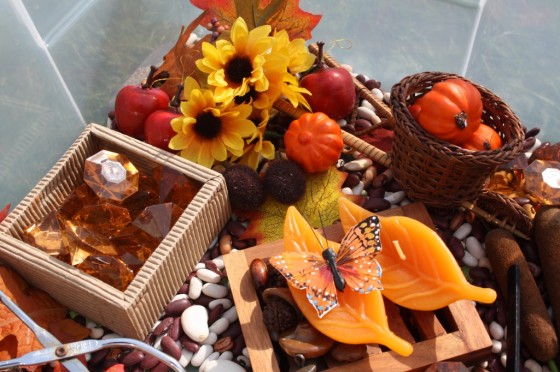suggested items for an Autumn Sensory bin
