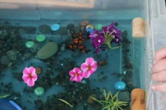 Ocean Sensory Bin for Toddlers and Preschoolers - Happy Hooligans