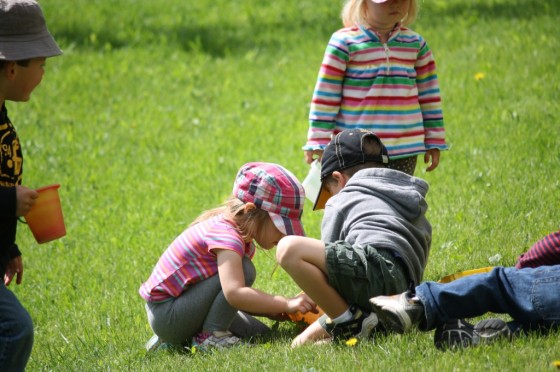 Toddlers collecting leaves and flowers