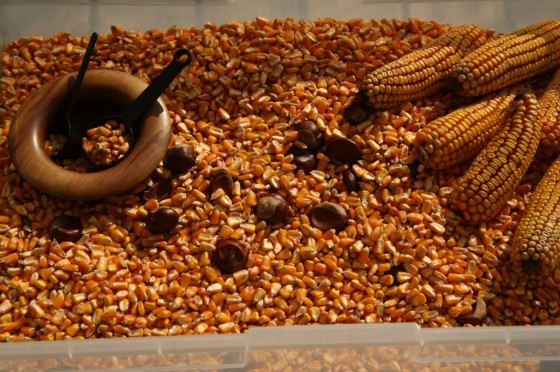 corn and chestnut bin
