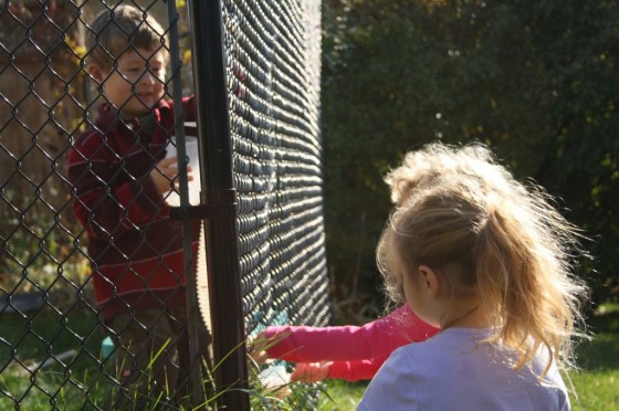 preschoolers working together through chainlink fence