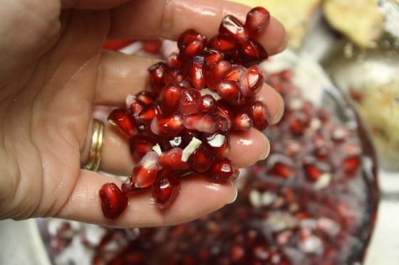 hand holding pomegranate seeds 