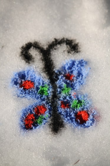 butterfly painted in the snow