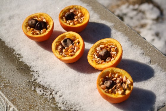 orange cups filled with corn and chestnuts