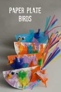 paper plate birds cover picture