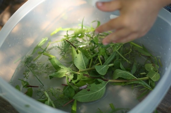 chopping and plucking fresh herbs for sensory play 