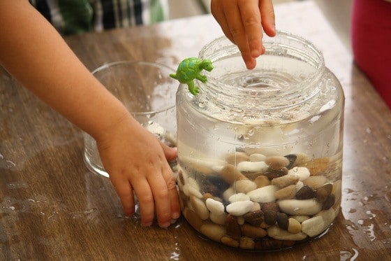 preschoolers adding rocks to water to observe water displacement