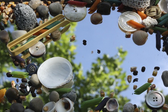 rocks, shells, corn kernels, coffee beans and dried pasta on a mirrored surface
