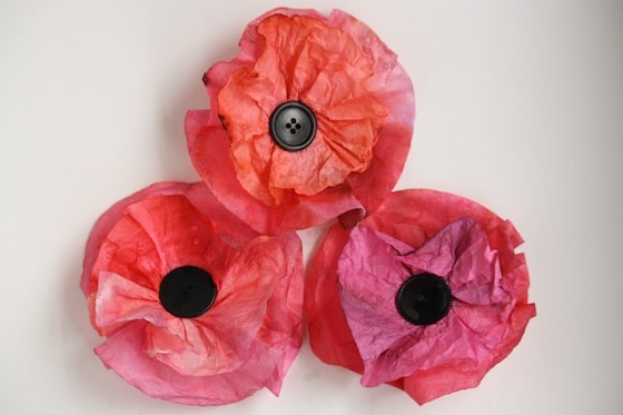 coffee filter poppies