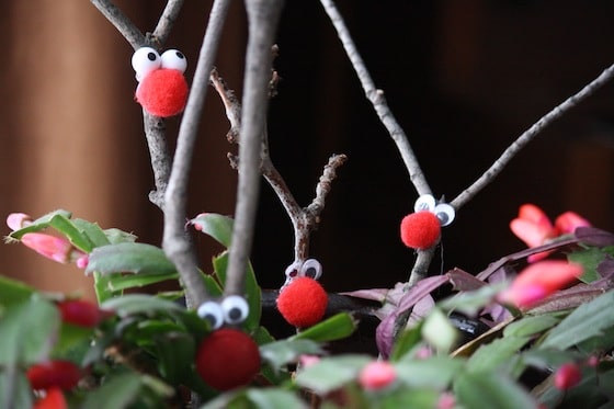 Reindeer decorations in a Christmas Cactus