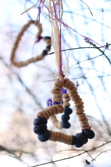 Heart shaped cheerio - blueberry bird feeders with pipe cleaners