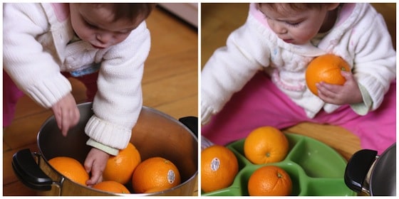 Sorting activity for toddlers and babies- transferring oranges from a pot into a sectioned tray