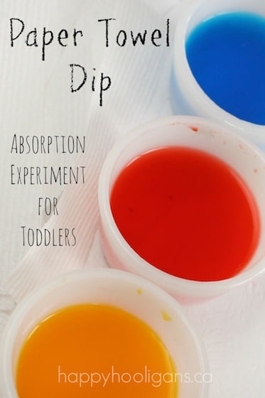 Paper Towel Dip: a water absorption experiment for toddlers and preschoolers