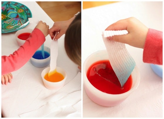 dipping paper towels into coloured water to learn about water absorption