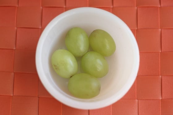 grapes to raisins experiment day 1 mar 17