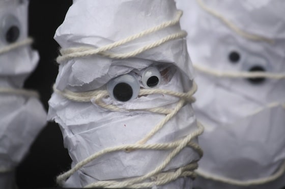toilet roll and tissue paper mummies