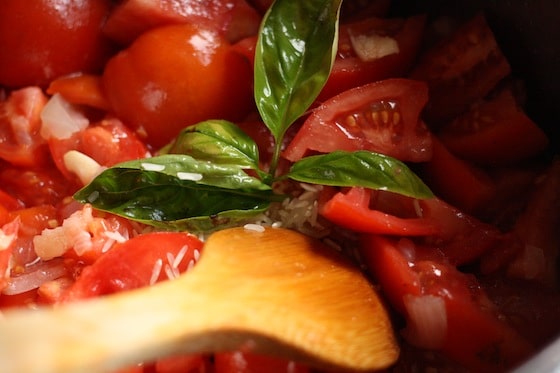 fresh tomatoes and basil for soup