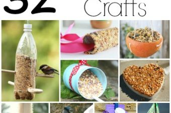 32 Easy Homemade Bird Feeders