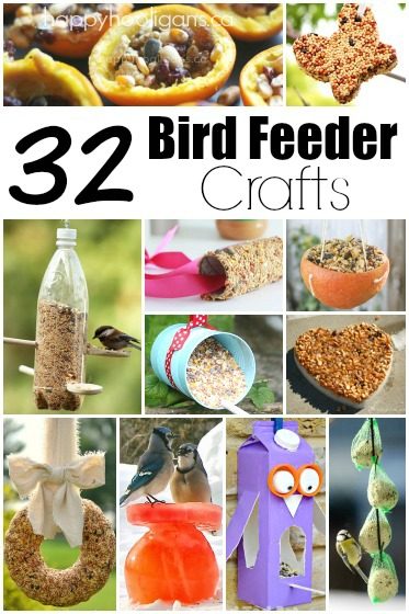 32 Easy Homemade Bird Feeders