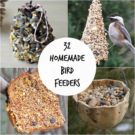 4 easy bird feeders for kids to make
