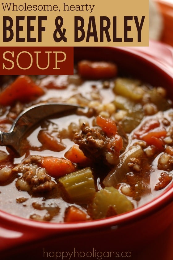 Homemade Beef and Barley Soup Recipe - Happy Hooligans