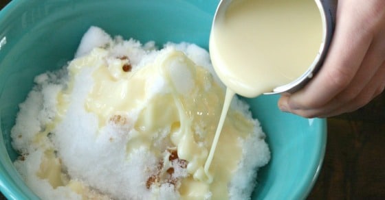 https://happyhooligans.ca/wp-content/uploads/2015/02/condensed-milk-vanilla-and-snow-ice-cream-.jpg Recipe