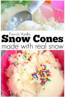 French Vanilla Snow Cones made with real snow