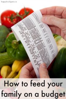 feed family on a budget