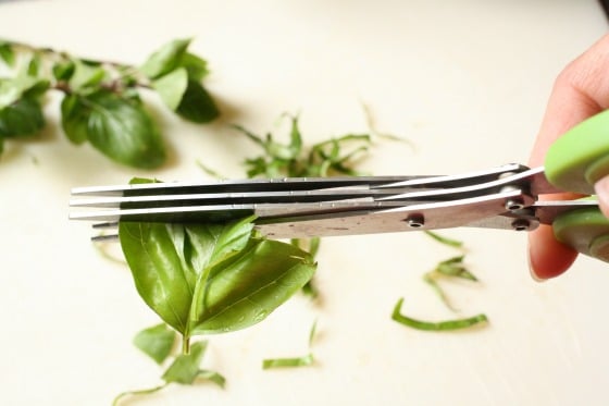 Cutting basil with triple bladed herb scissors