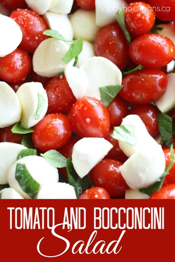 Tomato and Bocconcini Appetizer