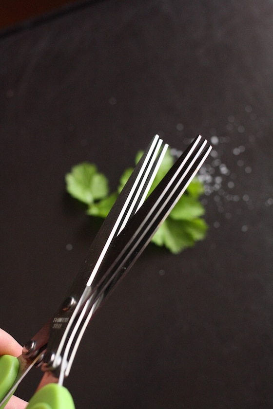 triple bladed herb scissors chopping cilantro