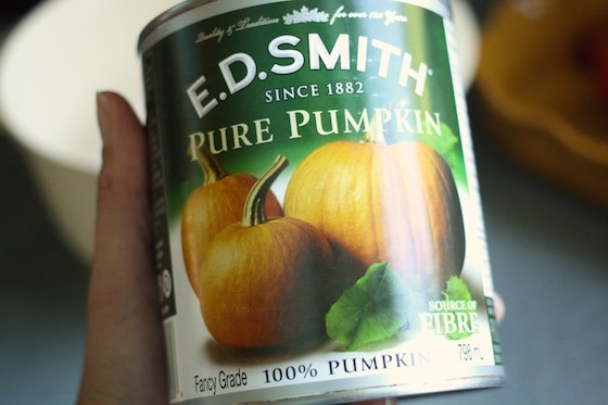 Can of Pumpkin Puree