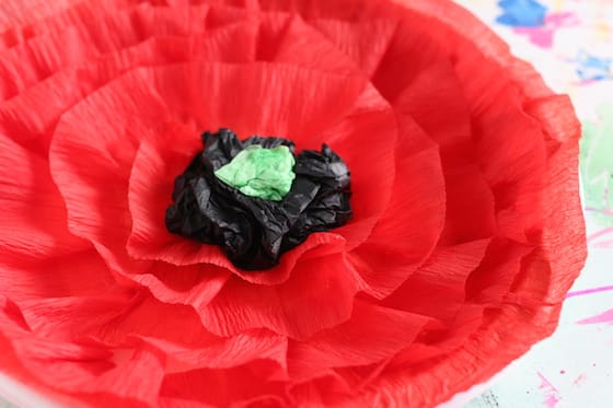 Close up of crepe paper poppy