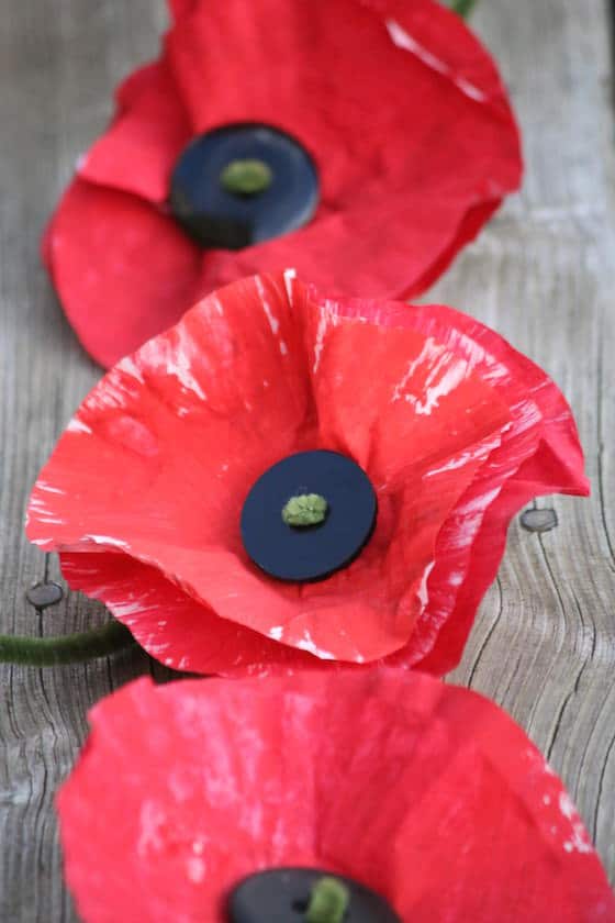 3 poppies made out of painted cupcake liners