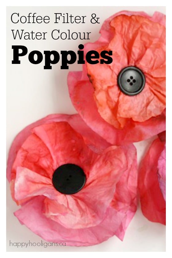 coffee filter and watercolour poppies