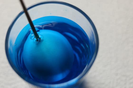 Blown out egg soaking in glass of blue water