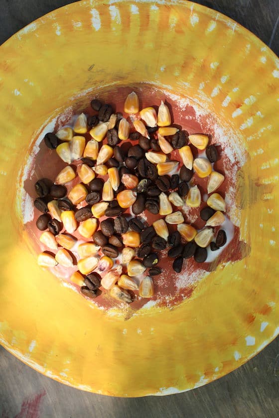 paper plate sunflower with coffee beans and corn kernels