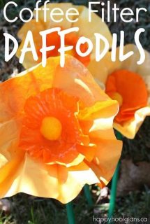 Easy Coffee Filter Daffodils Craft for kids - Happy Hooligans