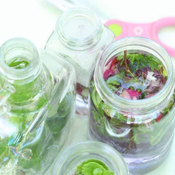 glass jars and bottles filled with leaves, water and flowers