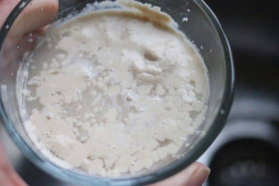 dissolving yeast and sugar in warm water