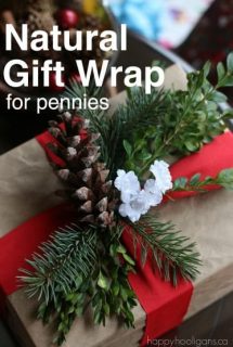 Homemade natural gift wrap ideas