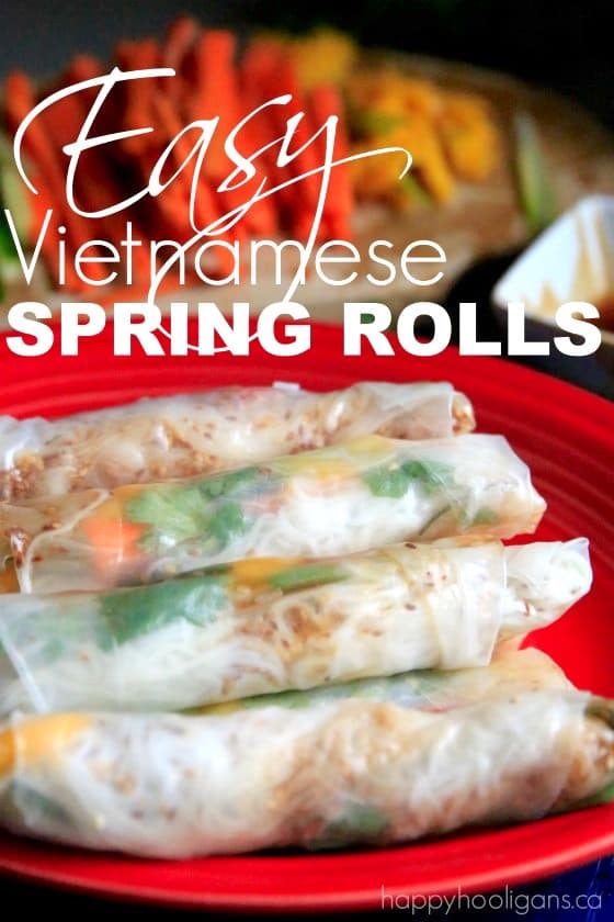 fresh spring rolls and juliened vegetables