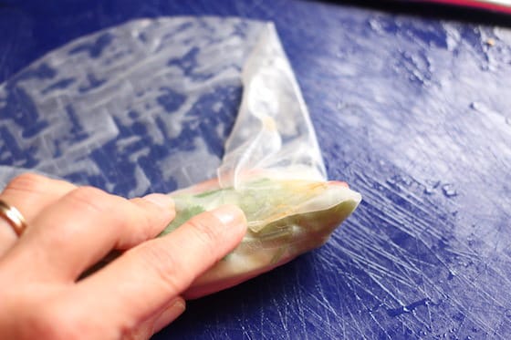 rolling spring roll in rice paper wrapper