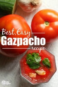 Best Easy Gazpacho Recipe - Happy Hooligans