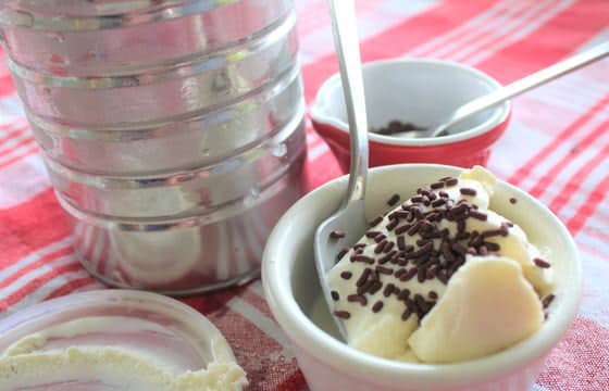 Bowl of homemade Ice Cream with chocolate sprinkles